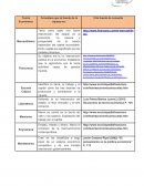 Evidencia de aprendiza Contezro socioeconomico.