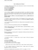 Guía: Clasificación de la Materia