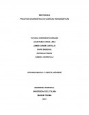 PRACTICA DIAGNOSTICO DE CUENCAS HIDROGRAFICAS