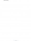 Negociacion Colectiva Peruano