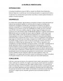 LA BURBUJA INMOVILIARIA