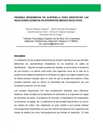 PRUEBAS BIOQUÌMICAS EN KLEPSIELLA PARA IDENTIFICAR LAS REACCIONES QUIMICAS EN DIFERENTES MEDIOS SELECTIVOS. Página 1
