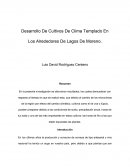 Desarrollo De Cultivos De Clima Templado En Los Alrededores De Lagos De Moreno.