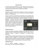 Actividad fisica en sistemas del cuerpo humano.