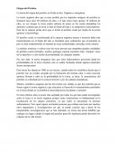 Origen del Petróleo La teoría del origen del petróleo se divide en dos: Orgánica e inorgánica