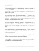 Nuestro tema tratara sobre una de las principales moléculas aportadoras de energía para los seres vivos: LA GLUCOSA.