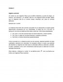 Vectores Algebra vectorial