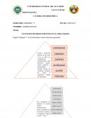Hidrógeno: Es el elemento más abundante en el organismo por su número de átomos. Forma parte de la molécula de agua. Su función la cumple en la oxidación del Hidrógeno que es la principal fuente de energía en los seres vivos. Como ion (H+), deter