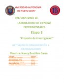 Organizacion y jerarquizacion.