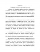 Cálculos de planta termo solar real