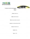 Tecnológico de estudios superiores de San Felipe del Progreso