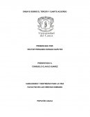 ENSAYO SOBRE EL TERCER Y CUARTO ACUERDO, DEl LIBRO LOS CUATRO ACUERDOS DE MIGUEL RUIZ.