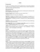 El color es la expresión de diversos procesos químicos Entre esto nos indica el Grado de evolución del suelo. Contenido de humus y presencia de ciertos minerales. Clasificación de suelos. Potencialidad y productividad del suelo.