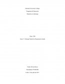 Tarea 7.1 Entrega Final de la Propuesta de Grado