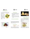 La problemática que será abordada a lo largo de este ensayo será la veracidad del argumento ontológico presentado por San Anselmo intentando probar la existencia de Dios por medio de la razón