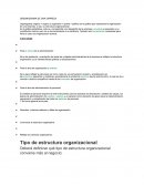 Es la gráfica estadística, esto es, corresponde a la radiografía de la empresa y muestra su esqueleto y su constitución interna, pero no su funcionamiento ni su dinámica.