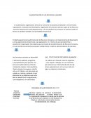 ADMINISTRACION RRHH Actividades de la administración de r.r.h.h