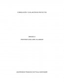 FORMULACIÓN Y EVALUACIÓN DE PROYECTOS.