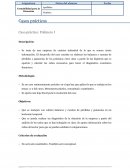 Casos prácticos Caso práctico: Polímero I