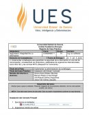 Seguridad E Integridad De La Información