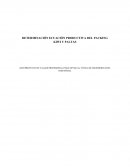 DETERMINACIÓN ECUACIÓN PRODUCTIVA DEL PACKING KIWI Y PALTAS ANTEPROYECTO DE TALLER PROFESIONAL PARA OPTAR AL TÍTULO DE INGENIERIO CIVIL INDUSTRIAL