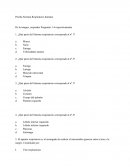 Prueba Sistema Respiratorio humano sin resp