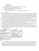 Defina campo visual, nombre los músculos extra oculares y dé la función de cada uno.