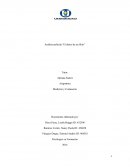 Análisis película “El diario de un Skin”