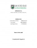LA HIDRAULICA “ENSAYO TEMA LIBRE“