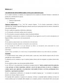 LOS DISTINTOS TIPO EMPRESARIOS. VENTAJAS Y DESVENTAJAS.