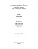 PLAN Y DESARROLLO DEL SIMULACRO