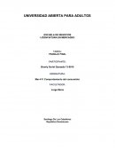 Proyecto Comportamiento del consumidor