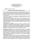 Información de la fuente vegetal y del almidón de yuca