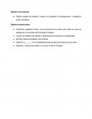 Proyecto de inversión Objetivo del proyecto.