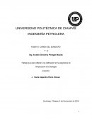 Geologia Trabajo que para obtener una calificación en la asignatura de