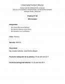 Biología Celular y Molecular