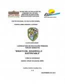 ENSAYO DEL DESARROLLO SUSTENTABLE