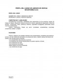 PERFIL DEL CARGO DE ASESOR DE VENTAS