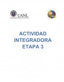 Actividad Integradora IMC Etapa 3