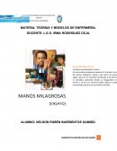 MATERIA: TEORÍAS Y MODELOS DE ENFERMERÍA.