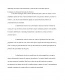 Marketing: Decisiones de Posicionamiento y selección de los mercados objetivos: