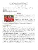 Tema: Trabajo en grupo “El Quichuismo”