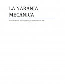 Teoría del derecho. Ciencias políticas y de la administración. 1ºB