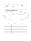 Examen diagnostico ingles primer grado