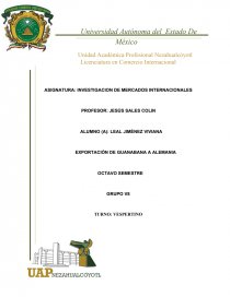 ASIGNATURA: INVESTIGACION DE MERCADOS INTERNACIONALES. Página 1