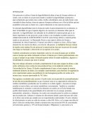 Este proyecto se refiere al tema de digestibilidad de dietas a base de forrajes arbóreo en cerdos