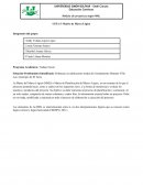 Trabajo Social Madres adolescentes