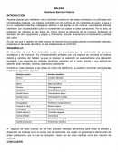 MALEZA Castañeda Sánchez Patricia