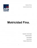 Motricidad fina se realizar actividades donde las niñas y niños necesitan de una precisión y un elevado nivel de coordinación