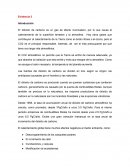 Actividad y Evidencia 3 - Ambiente y Sustentabilidad